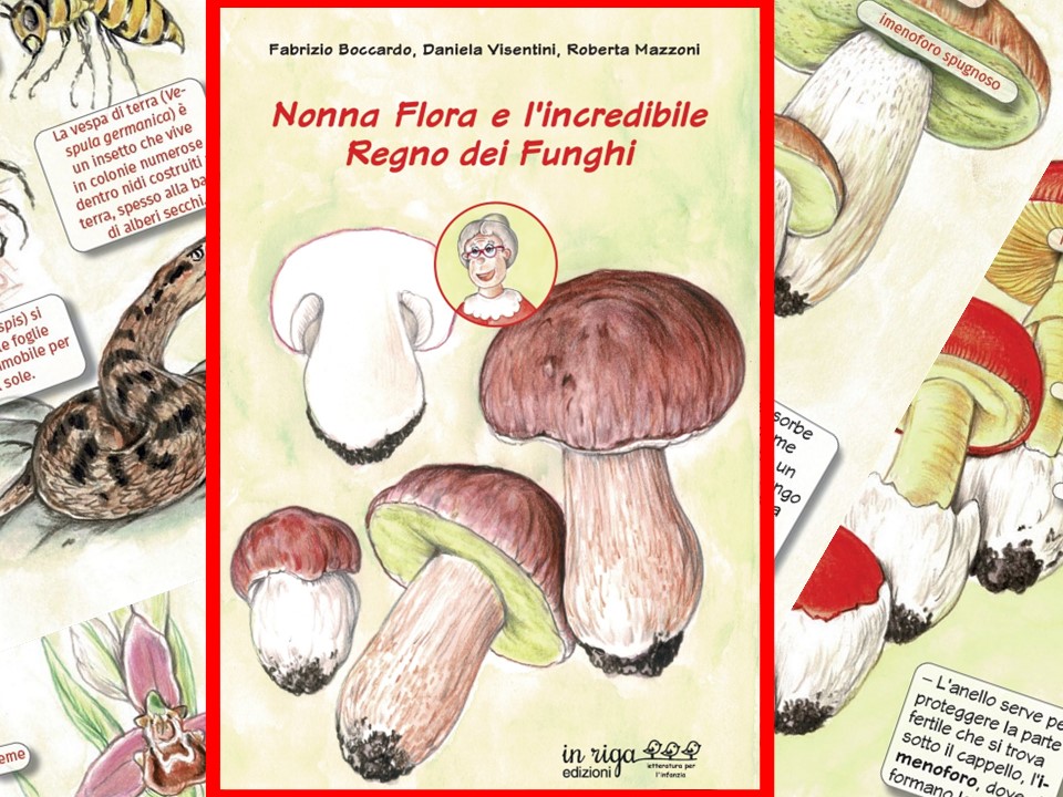 Nonna Flora e l’incredibile regno dei funghi pubblicato dall’Editore Inriga, contiene anche il percorso del Museo del Fungo Porcino di Borgotaro e di Albareto.